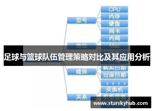 足球与篮球队伍管理策略对比及其应用分析